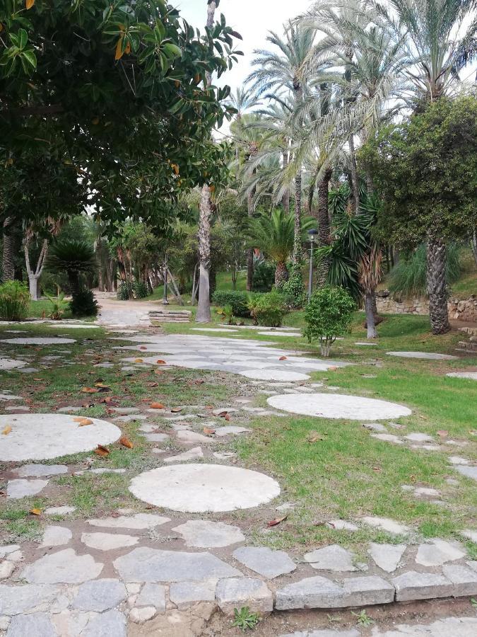 Penthouse Op Toplocatie Orihuela Eksteriør bilde