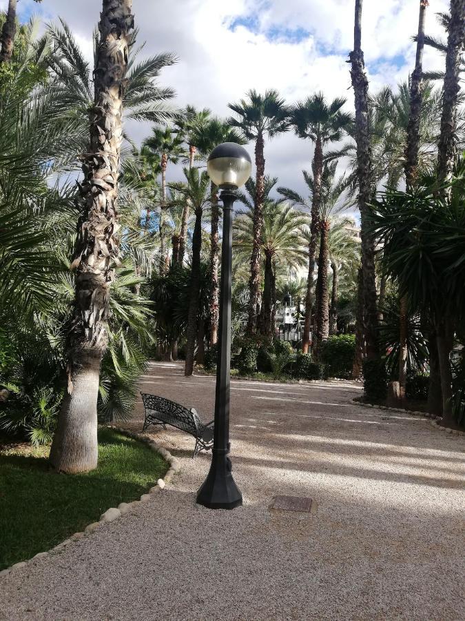 Penthouse Op Toplocatie Orihuela Eksteriør bilde