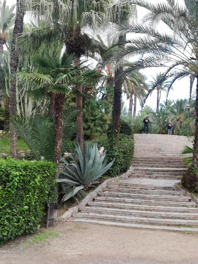 Penthouse Op Toplocatie Orihuela Eksteriør bilde